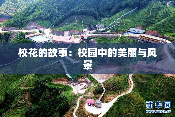校花的故事：校园中的美丽与风景