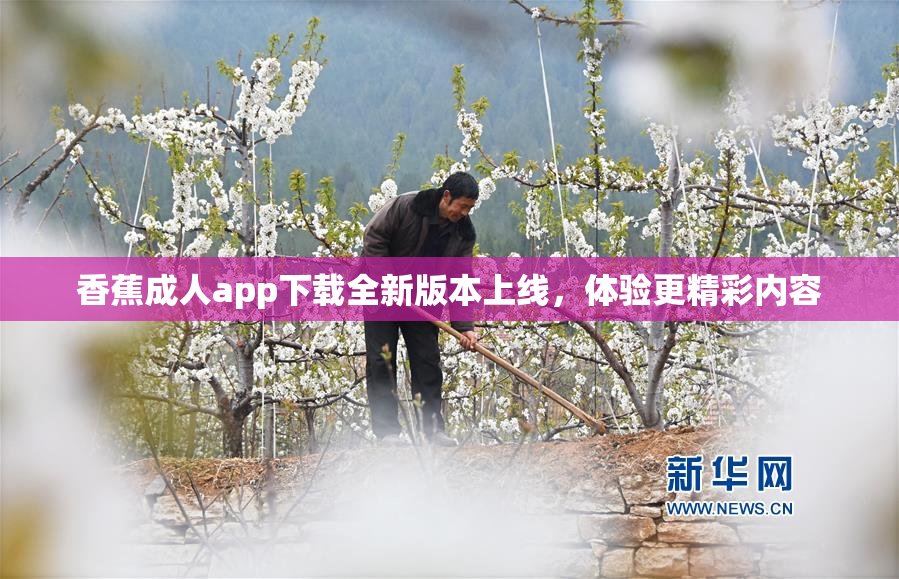 香蕉成人app下载全新版本上线，体验更精彩内容