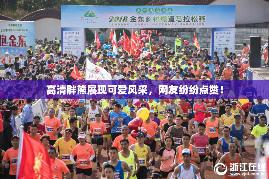 高清胖熊展现可爱风采，网友纷纷点赞！