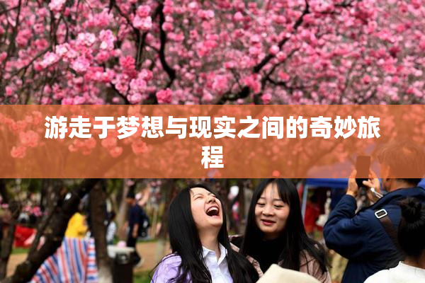 游走于梦想与现实之间的奇妙旅程