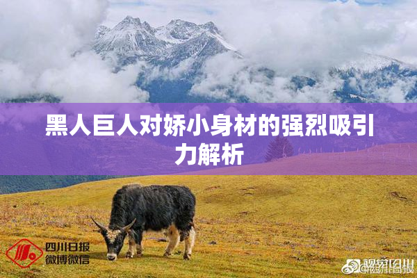 黑人巨人对娇小身材的强烈吸引力解析