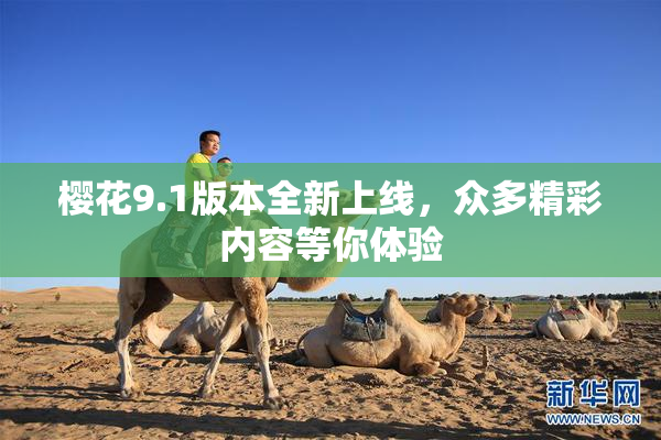 樱花9.1版本全新上线，众多精彩内容等你体验