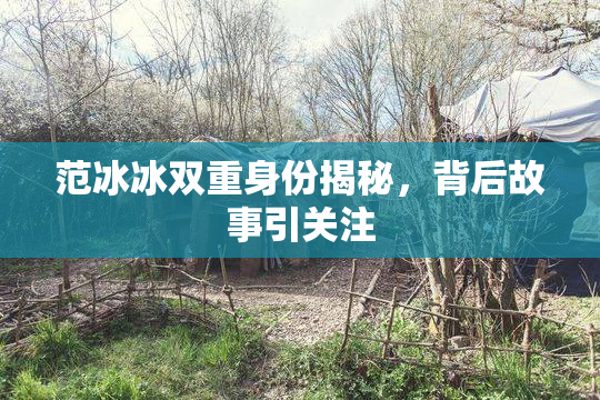 范冰冰双重身份揭秘，背后故事引关注
