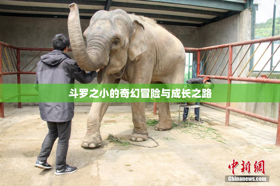 斗罗之小的奇幻冒险与成长之路