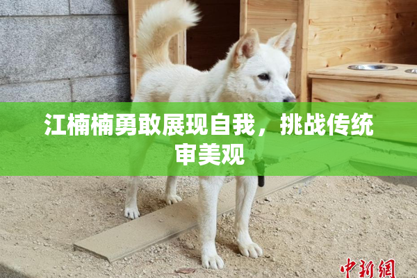 江楠楠勇敢展现自我，挑战传统审美观