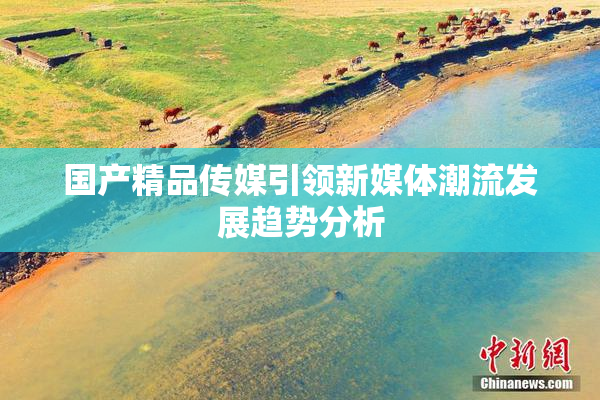 国产精品传媒引领新媒体潮流发展趋势分析