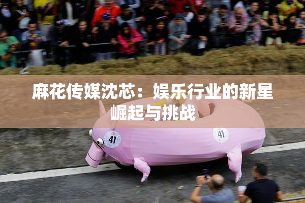 麻花传媒沈芯：娱乐行业的新星崛起与挑战
