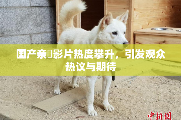 国产亲妺影片热度攀升，引发观众热议与期待
