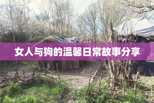 女人与狗的温馨日常故事分享