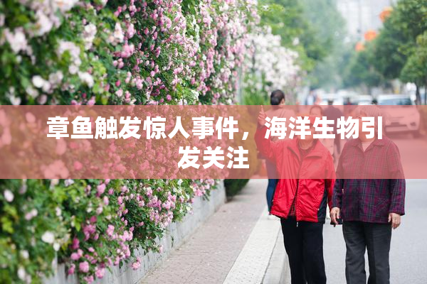章鱼触发惊人事件，海洋生物引发关注