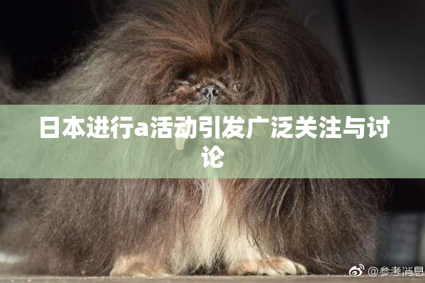 日本进行a活动引发广泛关注与讨论