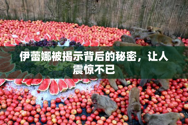 伊蕾娜被揭示背后的秘密，让人震惊不已
