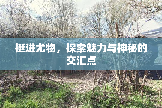 挺进尤物，探索魅力与神秘的交汇点