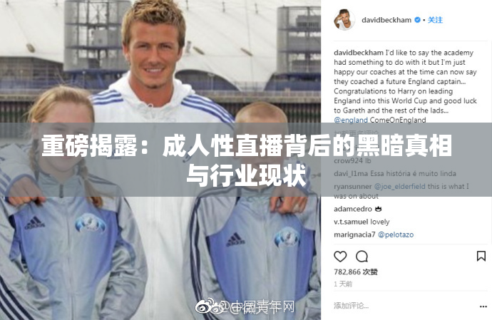 重磅揭露：成人性直播背后的黑暗真相与行业现状