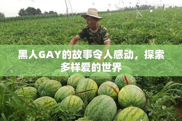 黑人GAY的故事令人感动，探索多样爱的世界