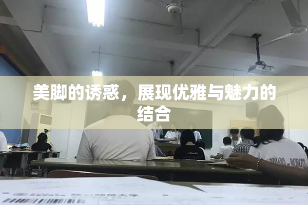 美脚的诱惑，展现优雅与魅力的结合
