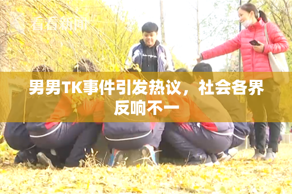男男TK事件引发热议，社会各界反响不一