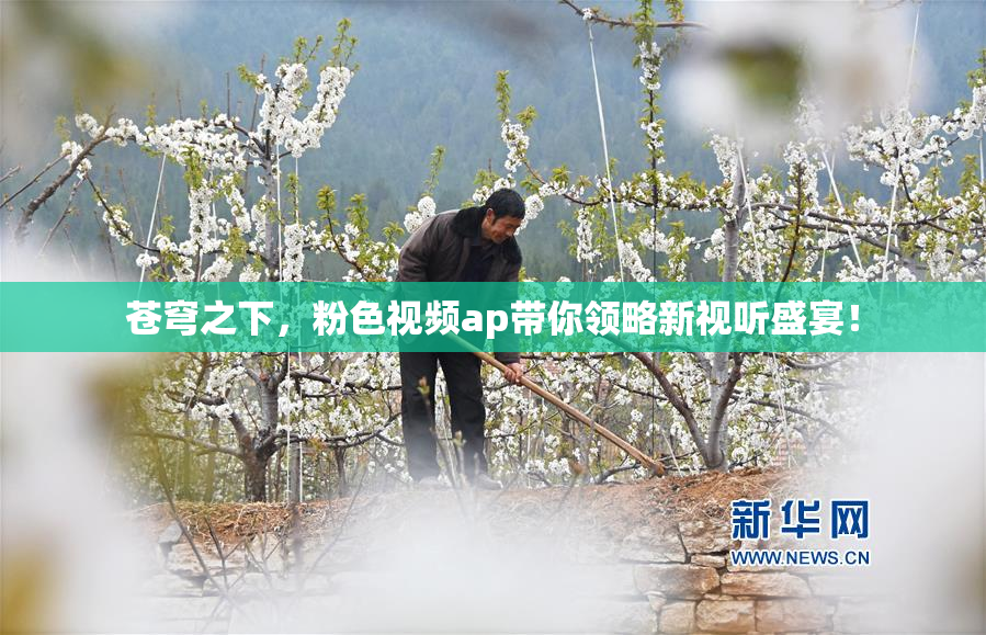 苍穹之下，粉色视频ap带你领略新视听盛宴！
