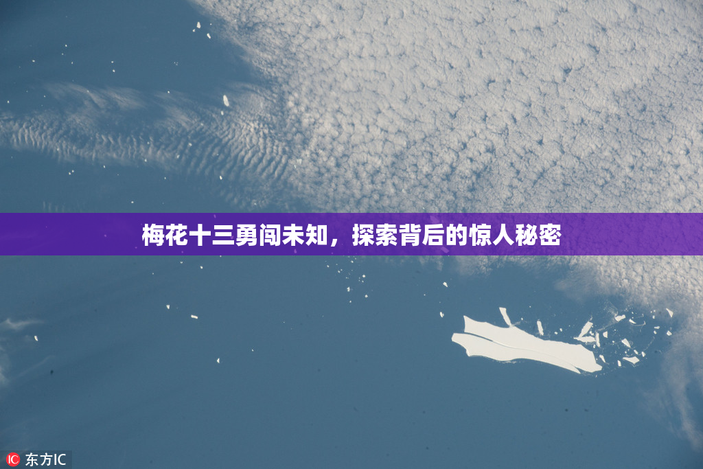 梅花十三勇闯未知，探索背后的惊人秘密