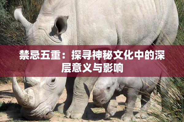 禁忌五重：探寻神秘文化中的深层意义与影响