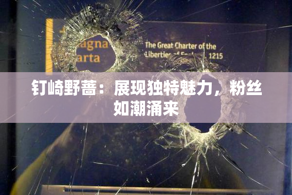 钉崎野蔷：展现独特魅力，粉丝如潮涌来