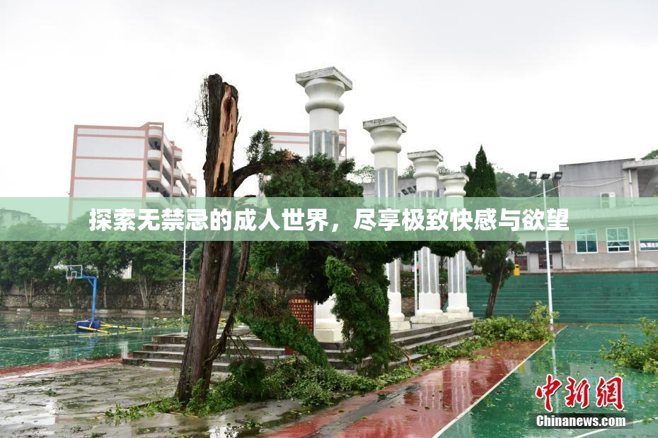 探索无禁忌的成人世界，尽享极致快感与欲望