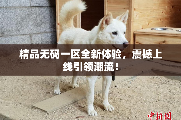 精品无码一区全新体验，震撼上线引领潮流！