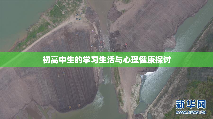 初高中生的学习生活与心理健康探讨