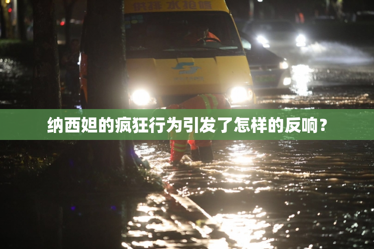 纳西妲的疯狂行为引发了怎样的反响？