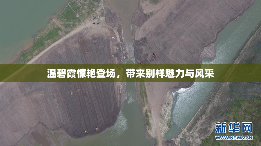 温碧霞惊艳登场，带来别样魅力与风采