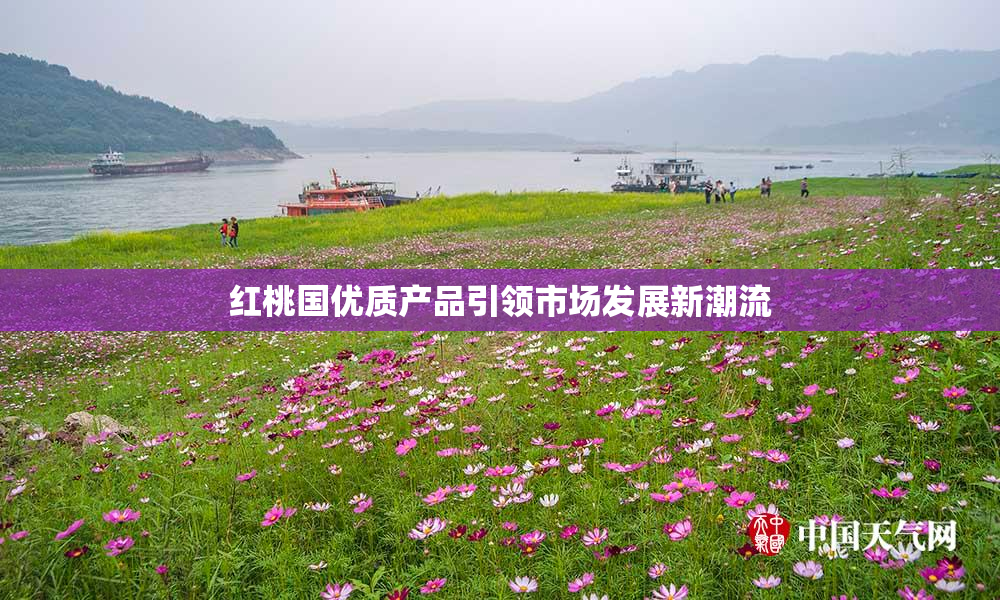红桃国优质产品引领市场发展新潮流
