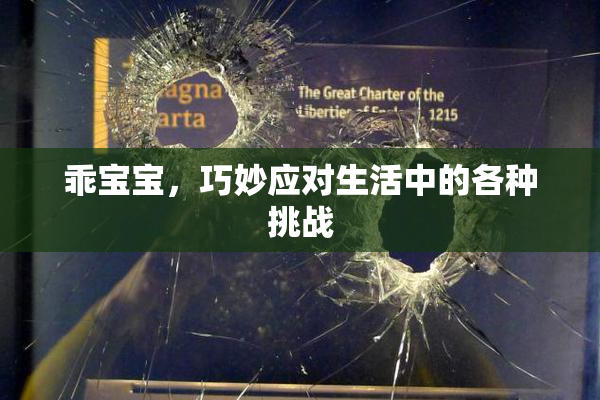 乖宝宝，巧妙应对生活中的各种挑战
