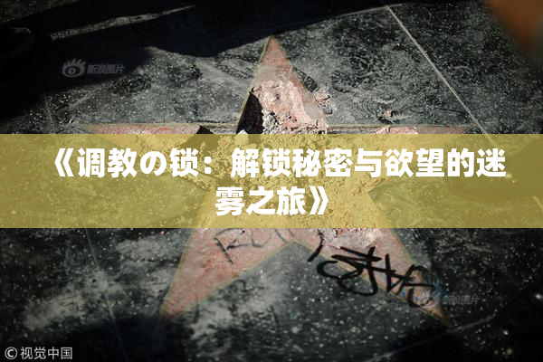 《调教の锁：解锁秘密与欲望的迷雾之旅》