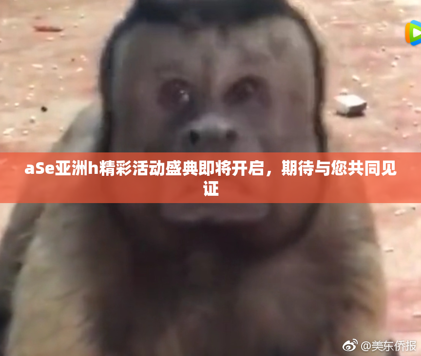 aSe亚洲h精彩活动盛典即将开启，期待与您共同见证