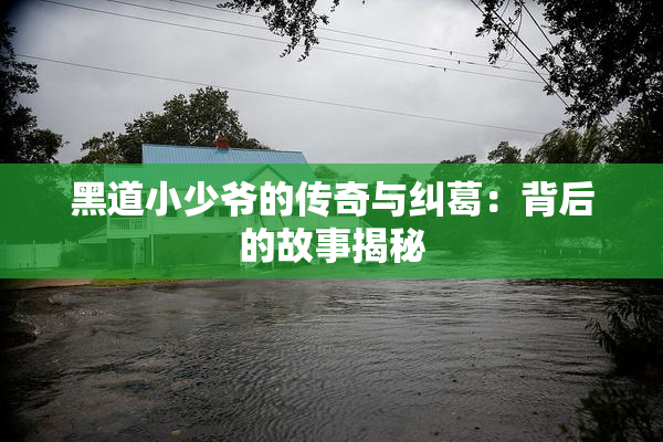 黑道小少爷的传奇与纠葛：背后的故事揭秘