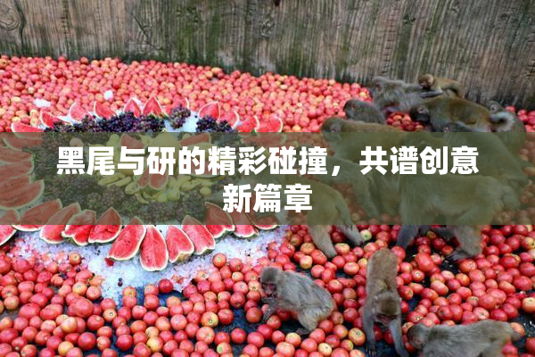 黑尾与研的精彩碰撞，共谱创意新篇章