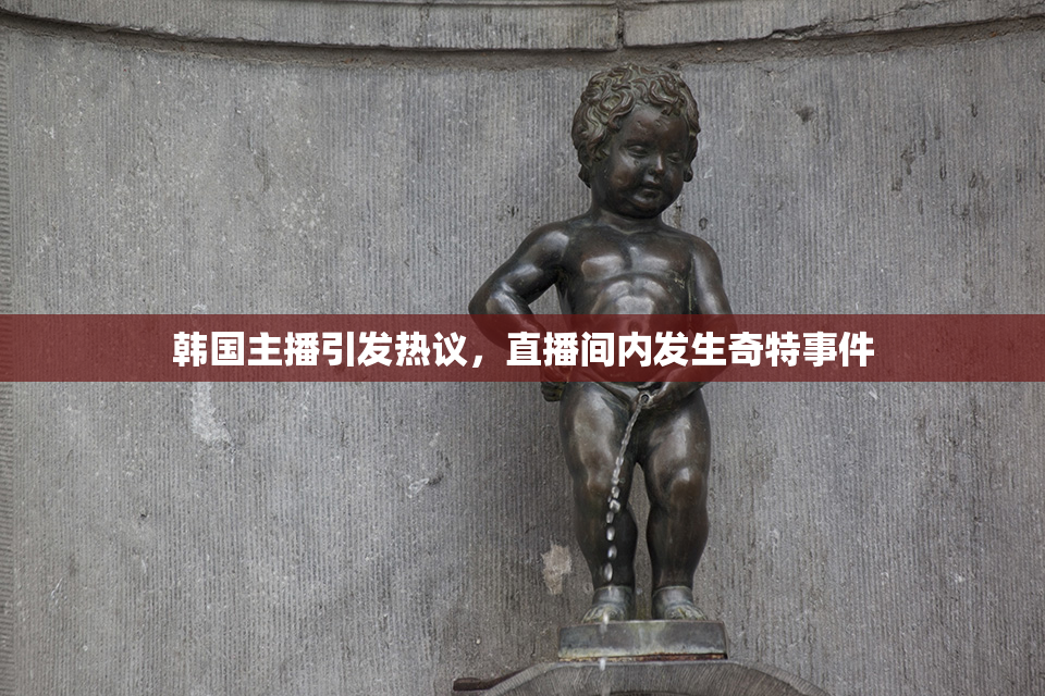 韩国主播引发热议，直播间内发生奇特事件