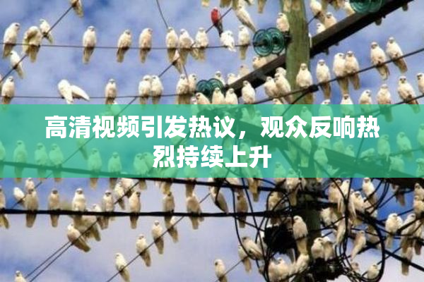 高清视频引发热议，观众反响热烈持续上升