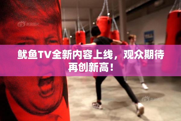 鱿鱼TV全新内容上线，观众期待再创新高！