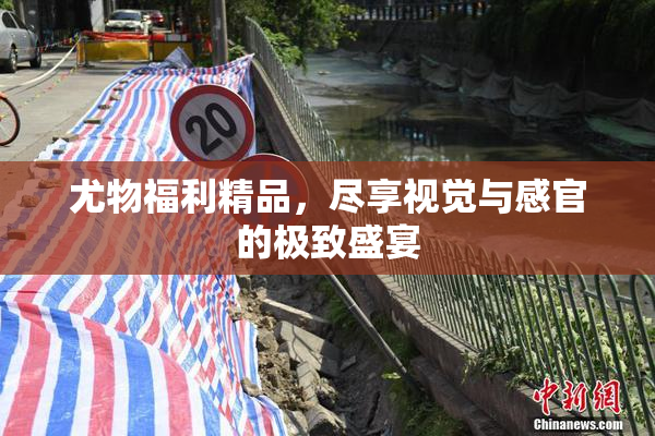 尤物福利精品，尽享视觉与感官的极致盛宴