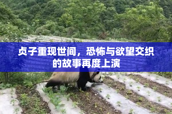 贞子重现世间，恐怖与欲望交织的故事再度上演