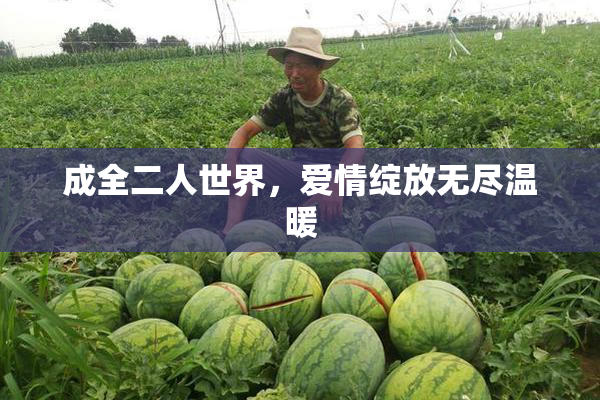 成全二人世界，爱情绽放无尽温暖