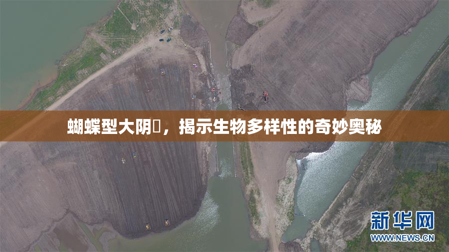 蝴蝶型大阴脣，揭示生物多样性的奇妙奥秘