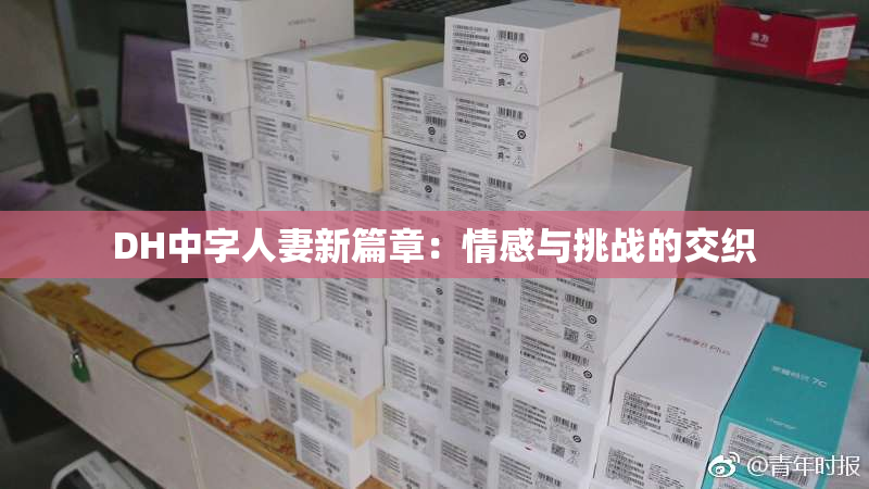 DH中字人妻新篇章：情感与挑战的交织