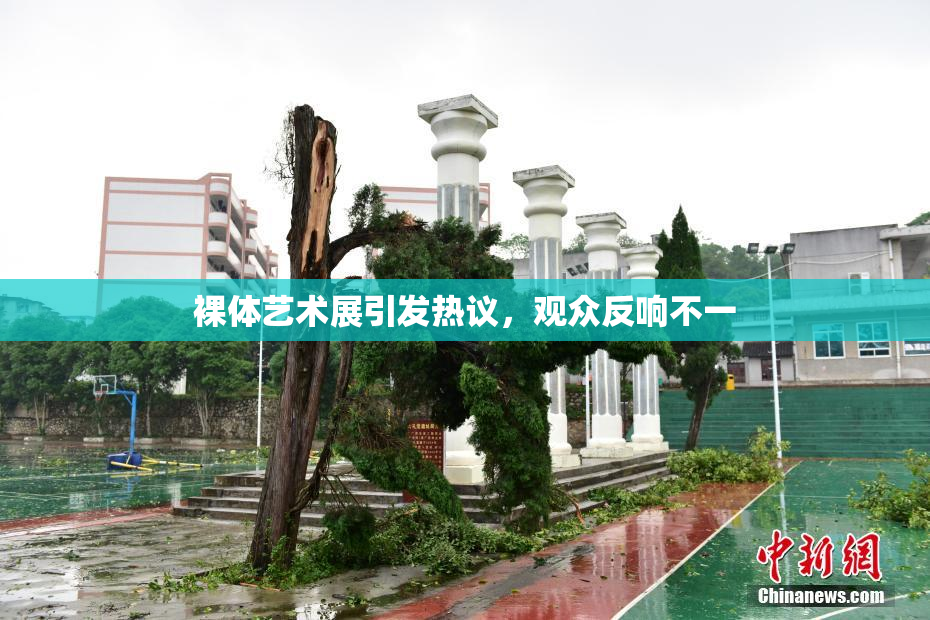 裸体艺术展引发热议，观众反响不一