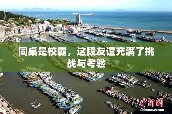 同桌是校霸，这段友谊充满了挑战与考验
