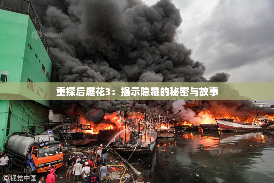 重探后庭花3：揭示隐藏的秘密与故事