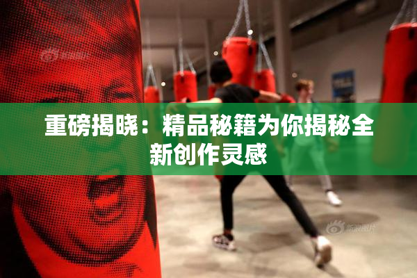 重磅揭晓：精品秘籍为你揭秘全新创作灵感
