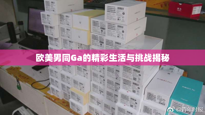 欧美男同Ga的精彩生活与挑战揭秘