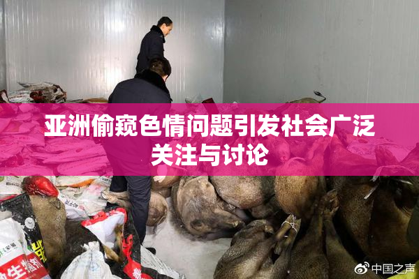 亚洲偷窥色情问题引发社会广泛关注与讨论